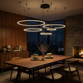 Contemporary Aluminium Ring Pendant Light Canorus – Black Finish, 5-Ring Lifestyle