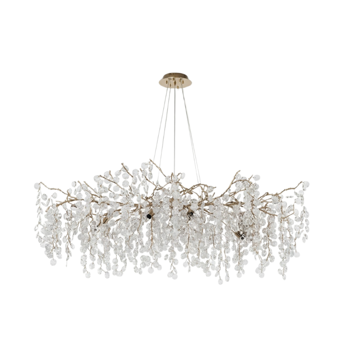 Modern Crystal Branch Chandelier Wistara – Oval Studio Shot