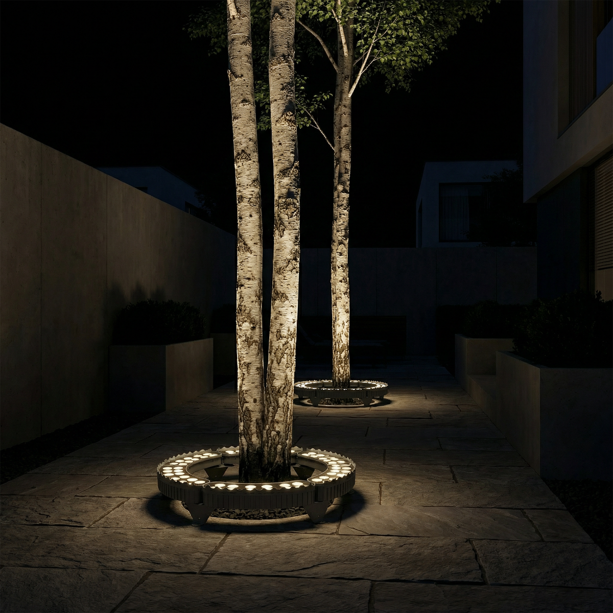 Modular Aluminum Tree Ring Uplight Anevox – Lifestyle, Warm White Ring Around Birch Trees at Night