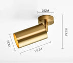 Brushed Gold Pivoting Spotlight Ceiling Light Dirvex – 1-Arm configuration