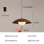 Walnut Dome & Crystal Bowl Pendant Light – Aximund – Product Detail 6