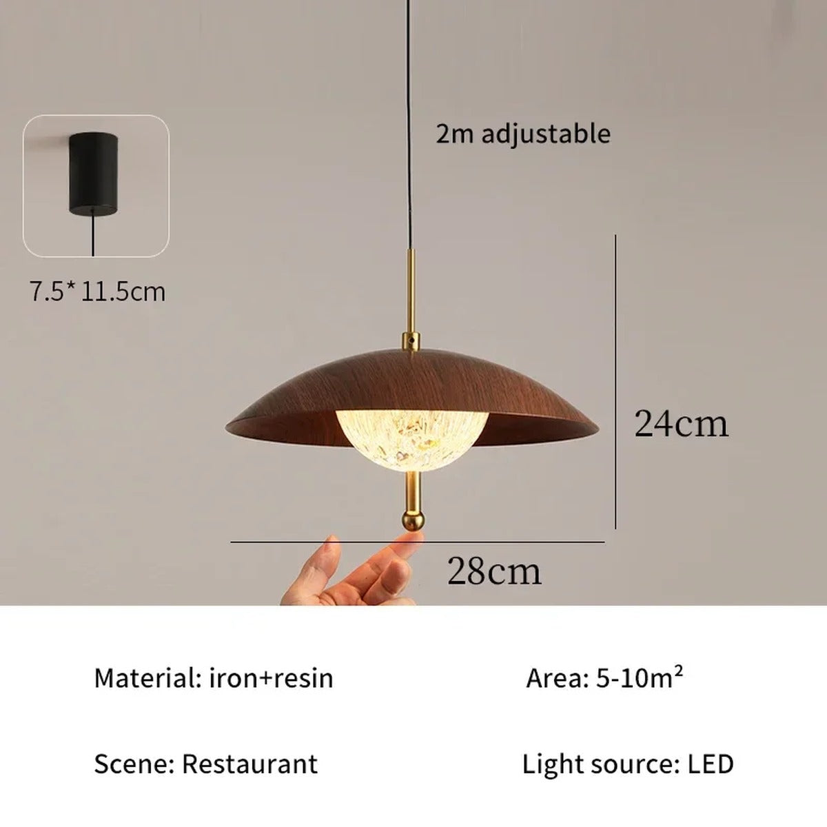 Walnut Dome & Crystal Bowl Pendant Light – Aximund – Product Detail 6