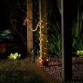 Premium Ambient String Lights Faira – Hero Shot