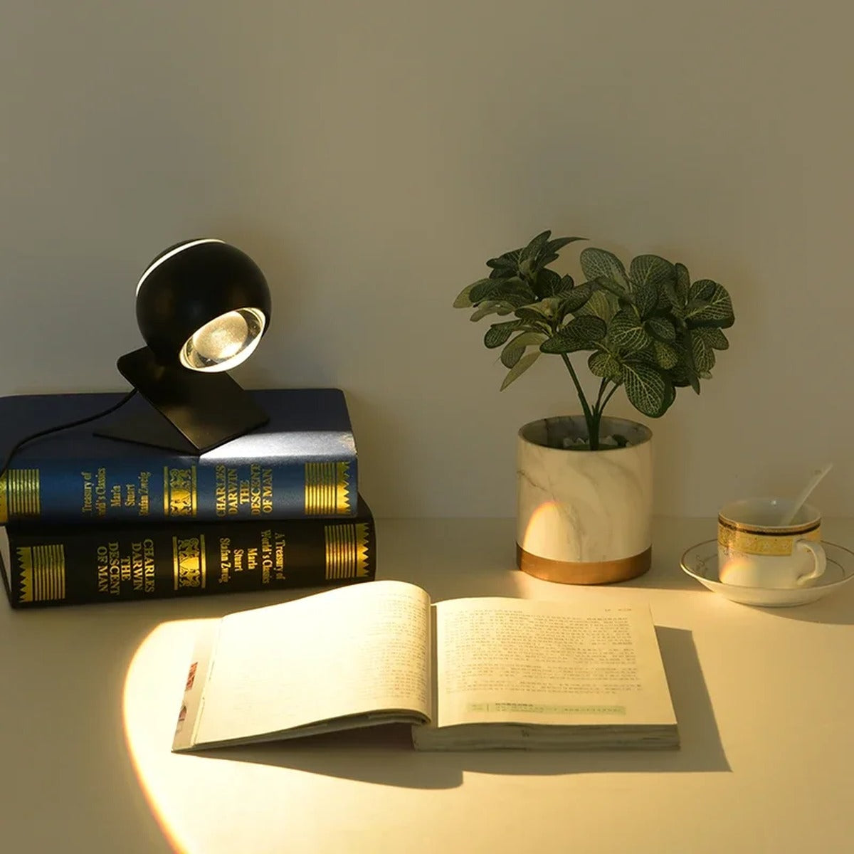 Sculptural Orb Table Lamp Ornaxis — black finish, ambient light on books