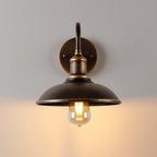Antique Brass Gooseneck Barn Wall Light Faera - Backplate Detail