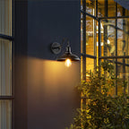 Antique Brass Gooseneck Barn Wall Light Faera - Courtyard Evening