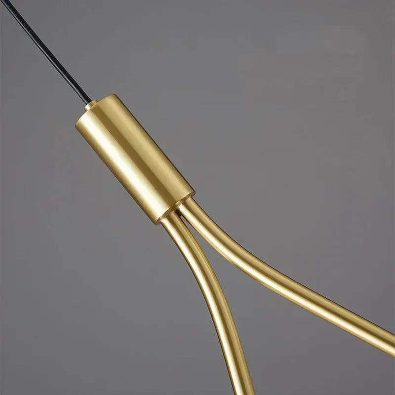 Modern Wire-Frame Glass Globe Pendant Light Veloran – frame and cord detail