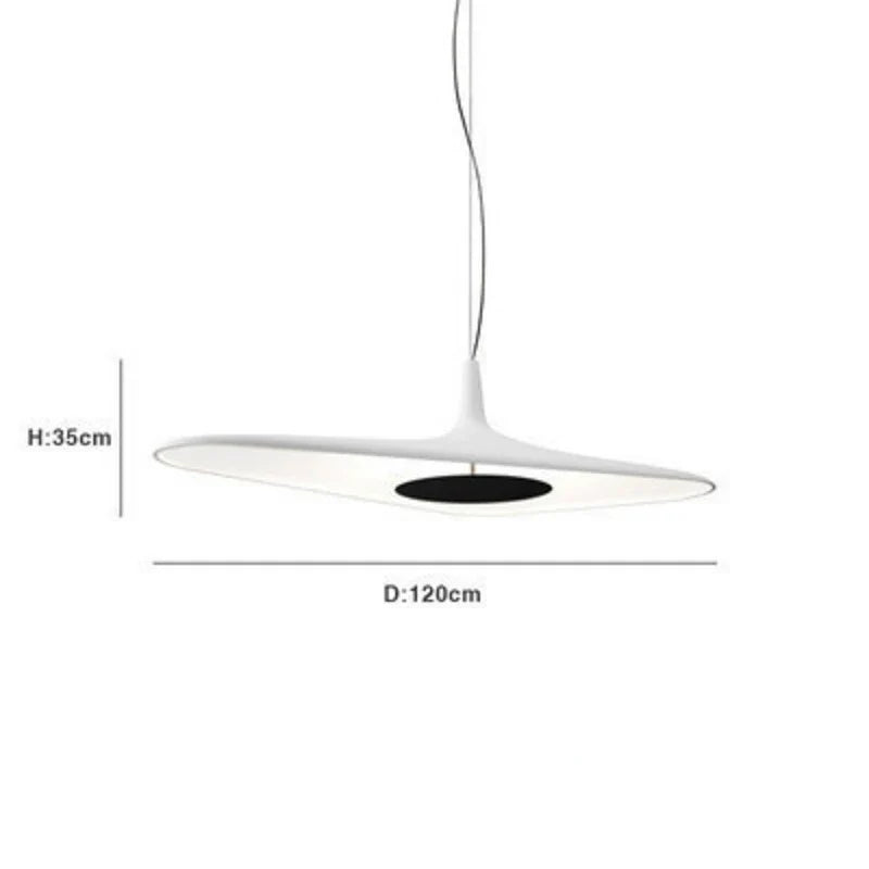 Irregular Geometric Metal Pendant Light Lxaeloria – Product Detail 8