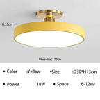 LED Modern Ceiling Light Gormon