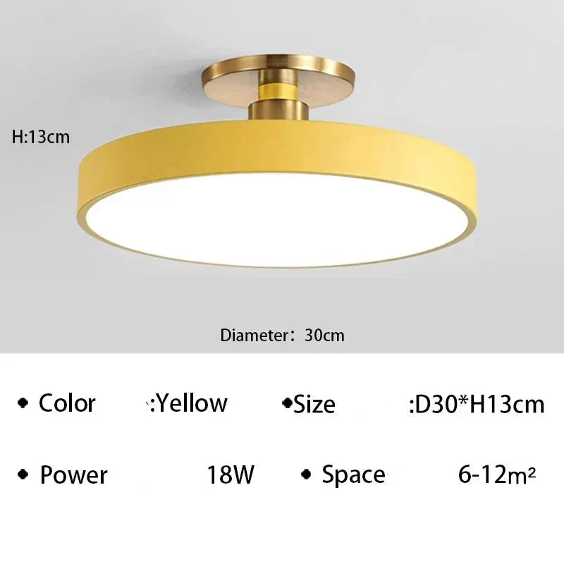 LED Modern Ceiling Light Gormon