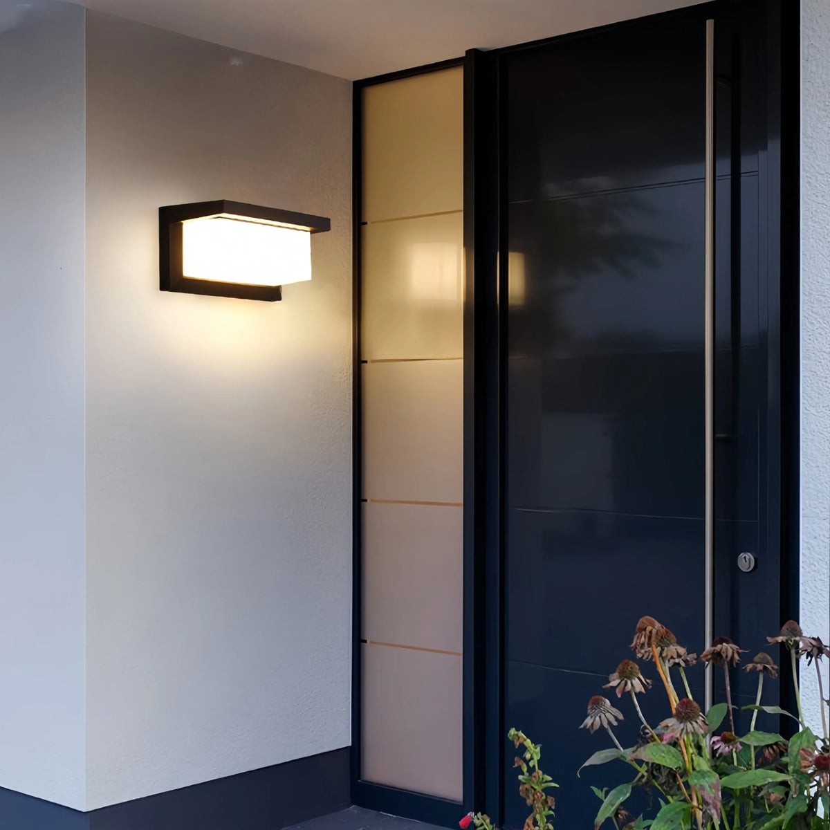 Barienth Outdoor Wall Light – Horizontal Configuration, beside a black entry door