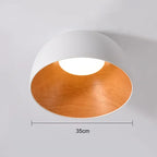 Modern Metal Ceiling Light Glormon