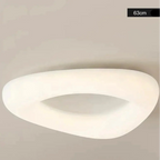 Luminous Acrylic Disk Ceiling Light Halvex – Product Detail 7