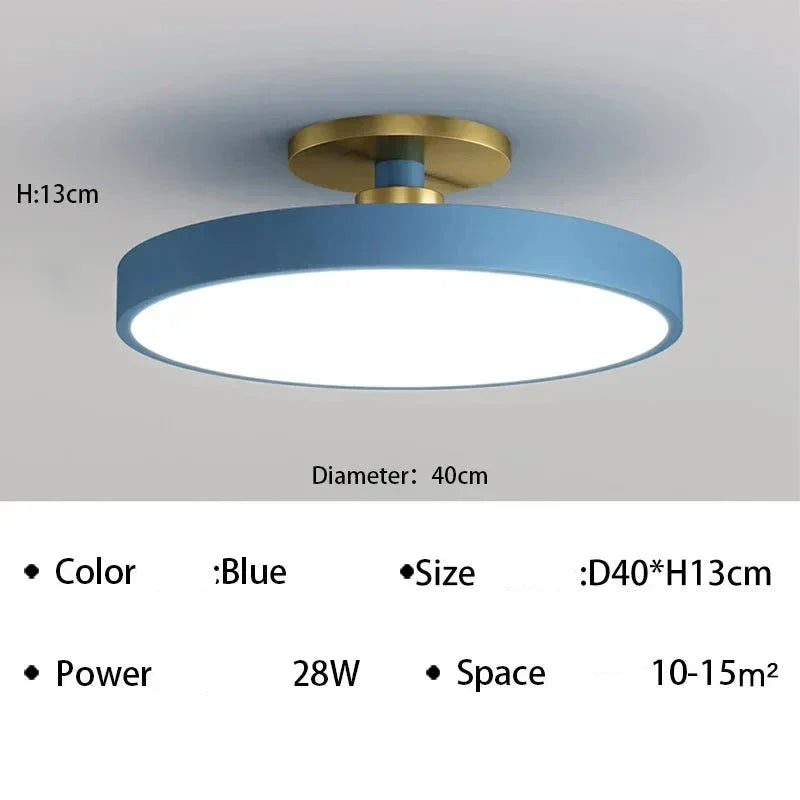 LED Modern Ceiling Light Gormon
