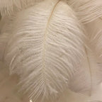 Natural Ostrich Feather Table Lamp Arelon – Product Detail 9