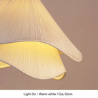Lwaeloria pendant light — scene 5