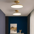 Brushed Aluminium Disc Ceiling Light Darevo – Product Detail 7