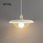 Wood Disc & Brass Wire Cage Pendant Light – Belvora – Product Detail 7