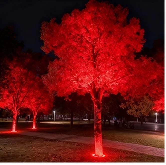 Modular Aluminum Tree Ring Uplight Anevox – RGB Colour-Changing Mode