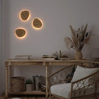 Sculptural Solid Wood Oval Wall Sconce Galion – Warm White 3000K Light