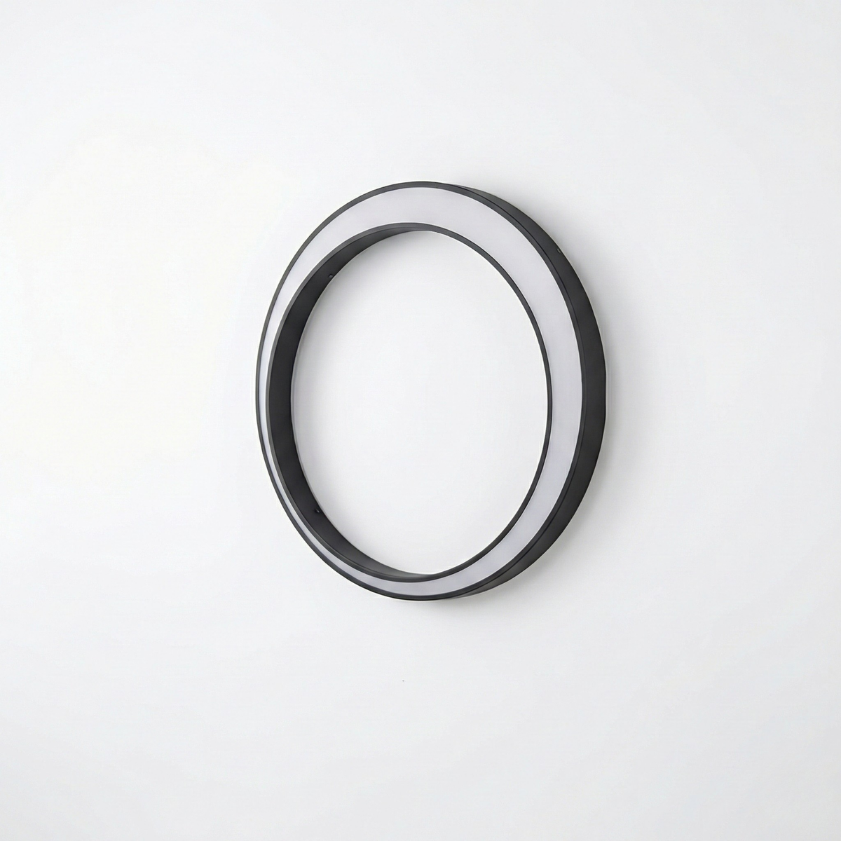 Muralion Brushed Steel Ring Outdoor Wall Light