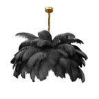 Ostrich Feather Statement Chandelier – Plumaire – Black, Studio