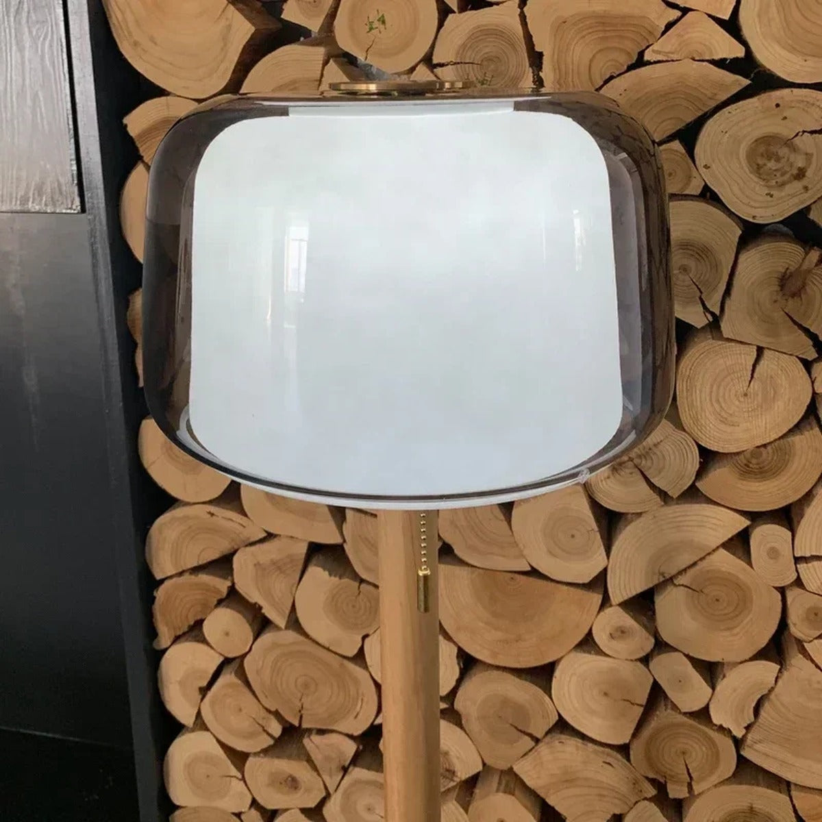 Minimalist Smoked Glass Floor Lamp Quieton — shade detail close-up