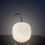 Portable Glass Globe Cordless Table Lamp – Harlixon – Product Detail 5