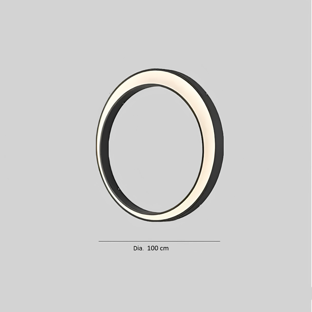 Muralion Brushed Steel Ring Outdoor Wall Light