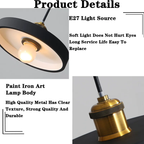 Sorvane Pendant Light – Antique Brass Socket and Painted Iron Detail