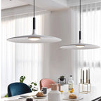 Matte Metal Disc Pendant Light Solanto